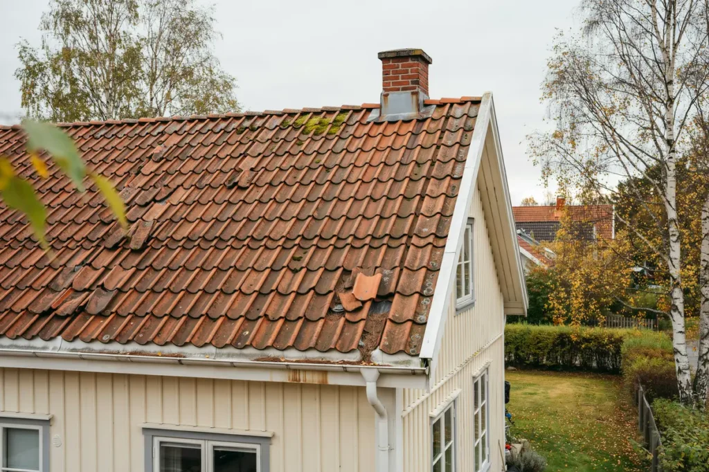 augusti r r tt tid f r takets sensommarkoll f nga skadorna innan h ststormarna kommer